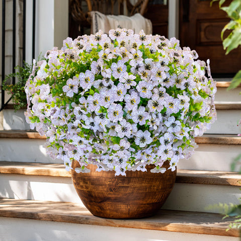 AXYLEX fade-proof faux shrubs maintain vibrant color through changing seasons outdoors.