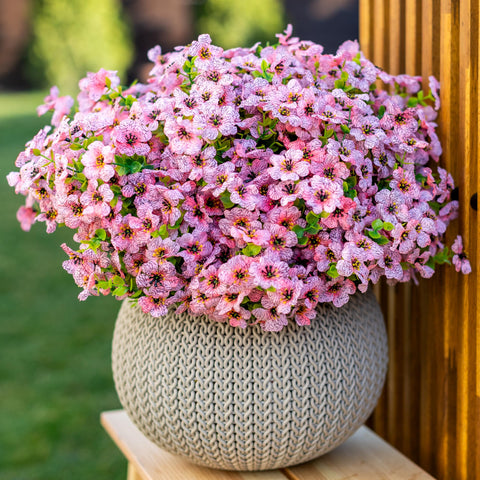 AXYLEX farmhouse-style pink mums for fall outdoor decor.