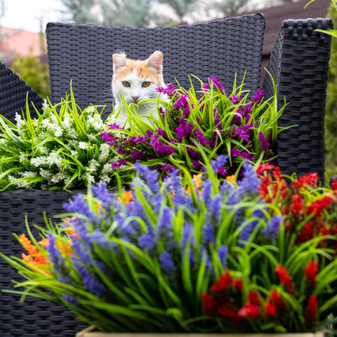 AXYLEX lavender decor delivers privacy while preserving light and airflow outdoors.