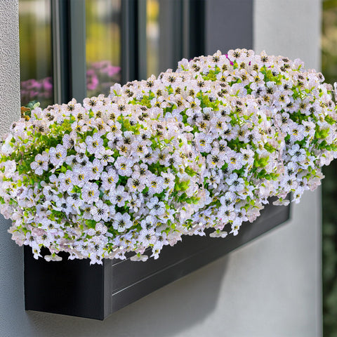 AXYLEX versatile faux plants boost garden ambiance on patios or balconies.