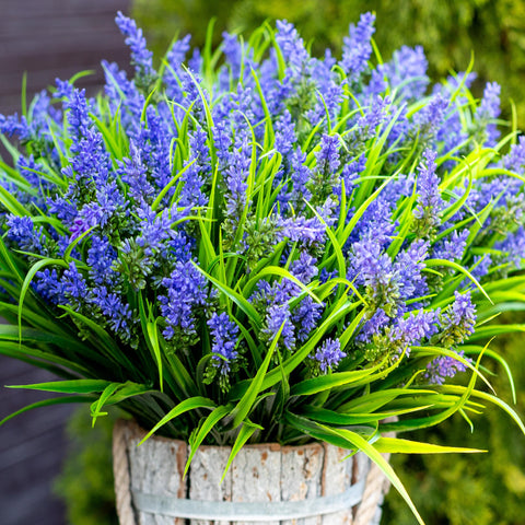 AXYLEX outdoor lavender bundle on porch offers maintenance-free color and UV resistance
