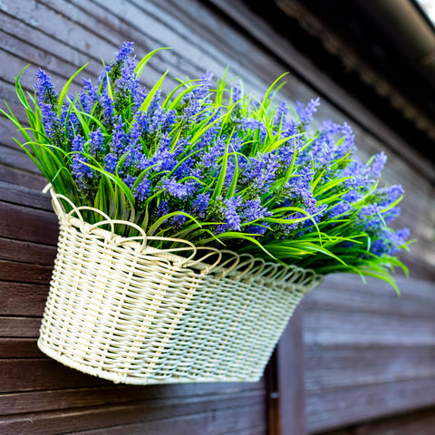AXYLEX lavender bundle on deck creates cozy private garden vibes