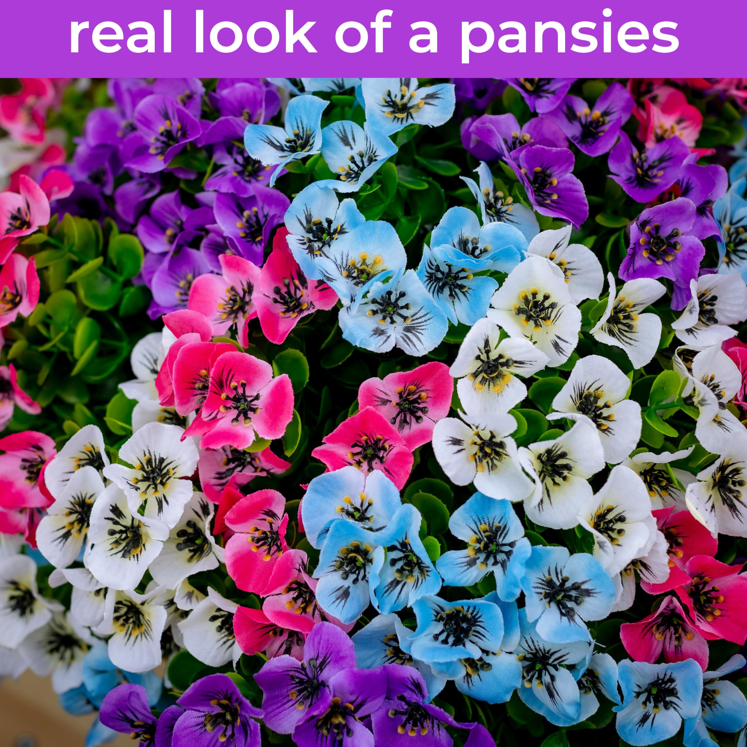 AXYLEX privacy-friendly flowers for windows and patios.