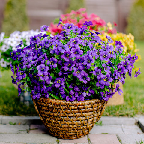 AXYLEX outdoor-friendly greenery suits front porches and back decks