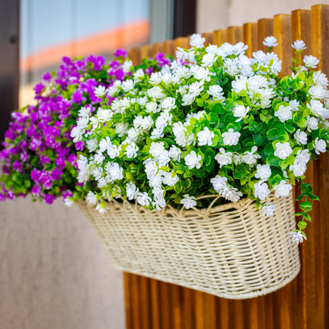 AXYLEX outside plants resist sun damage, staying green all season.