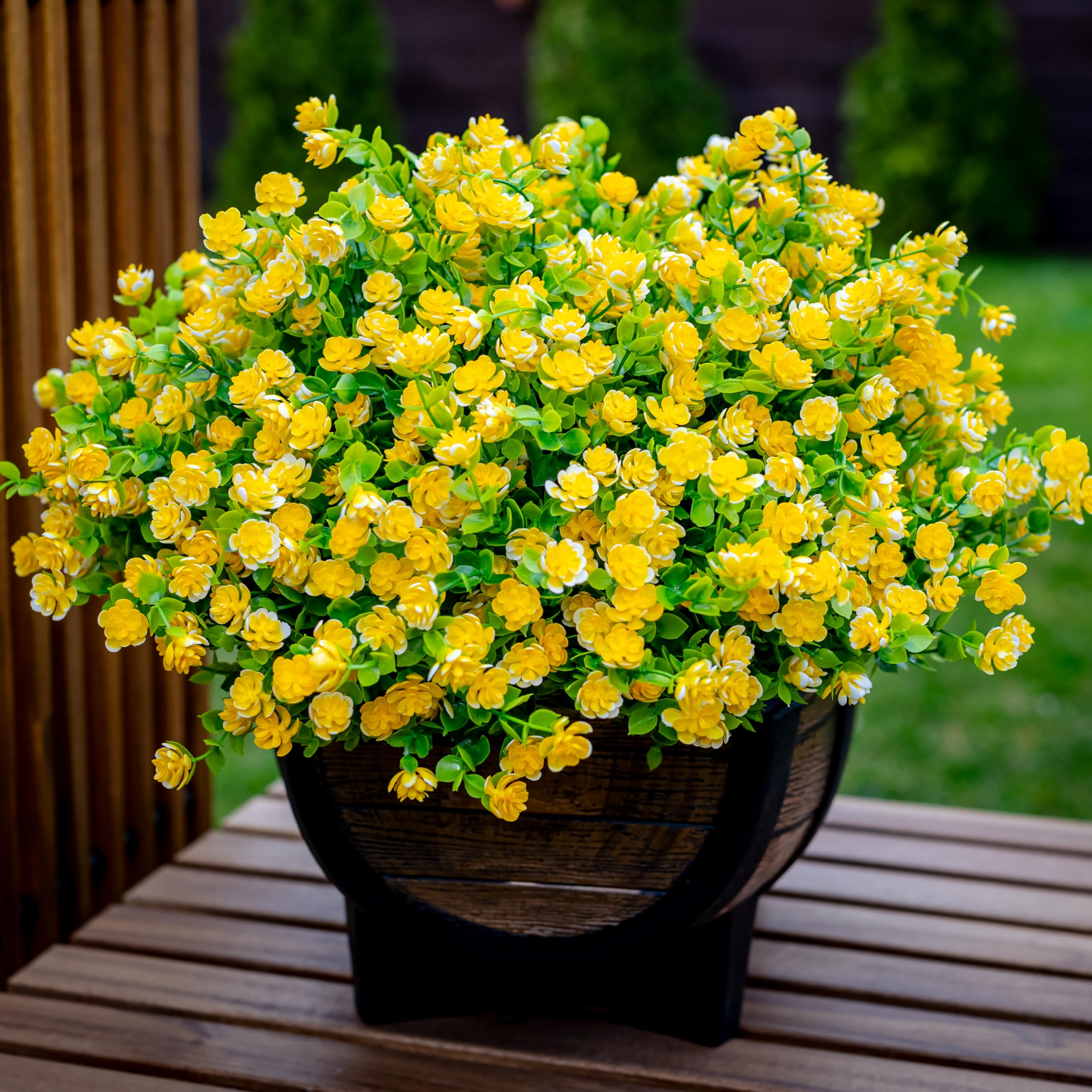 AXYLEX yellow boxwood shrubs add privacy to the front porch.