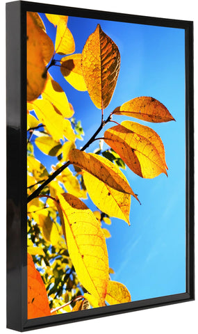 Aynoo 20x30 poster frame back view showing sturdy hanging hardware