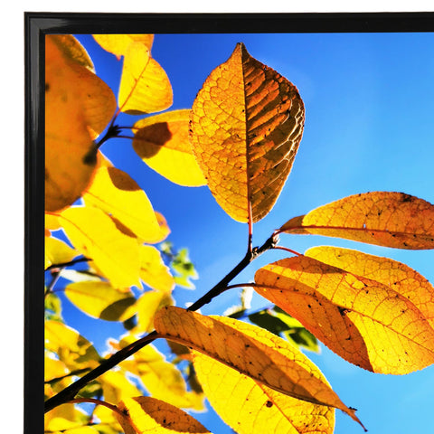 Aynoo 20x30 poster frame black narrow edge complements modern decor