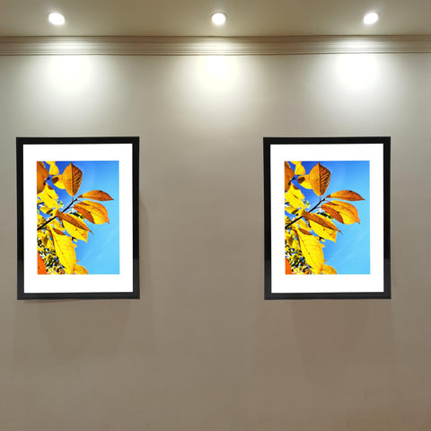 Aynoo 20x30 poster frame collage-ready design for wall galleries