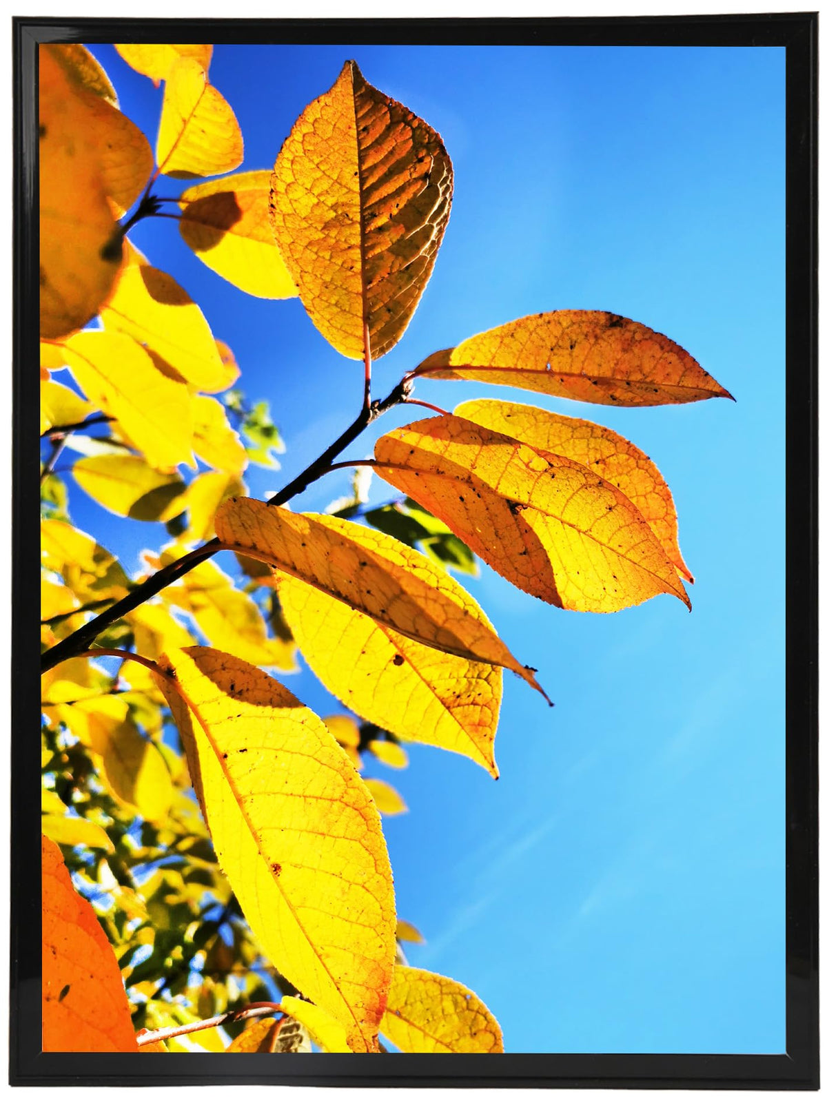 Aynoo 20x30 poster frame front view with slim black border for clean display