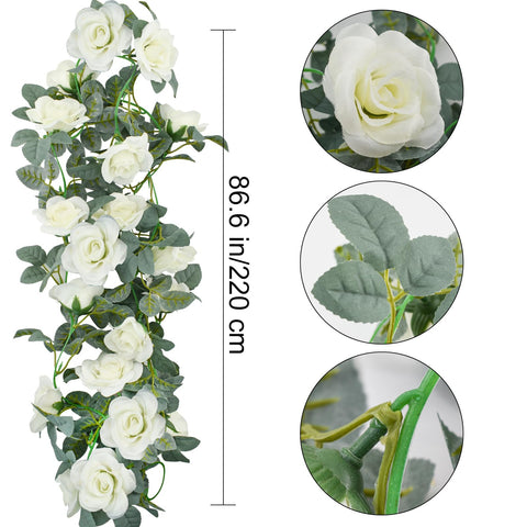 Bacucine hanging rose vine adds elegant decor with white blooms.
