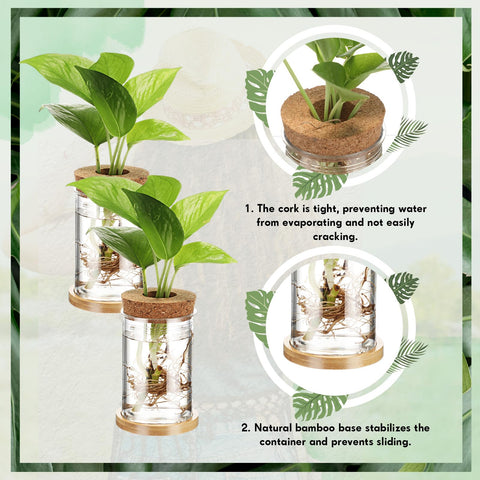 Baderke cork topper with hole enables simple plant insertion and adjustment.