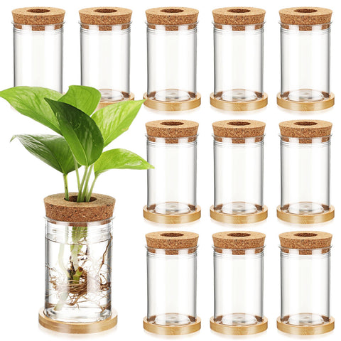 Baderke propagation bottle with clear view of roots for easy water monitoring.