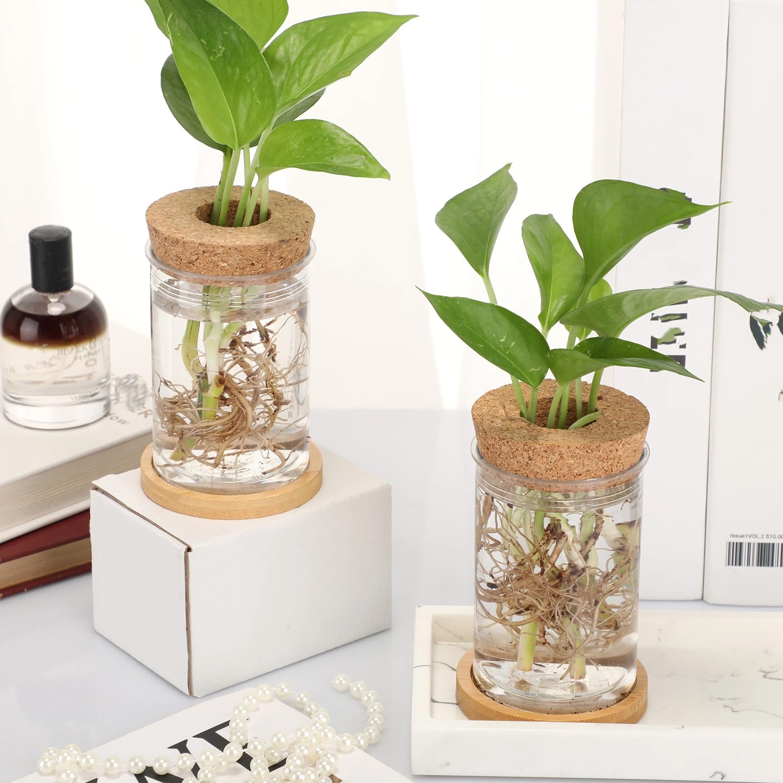 Baderke propagation vases enhance modern office decor on a desk or shelf.