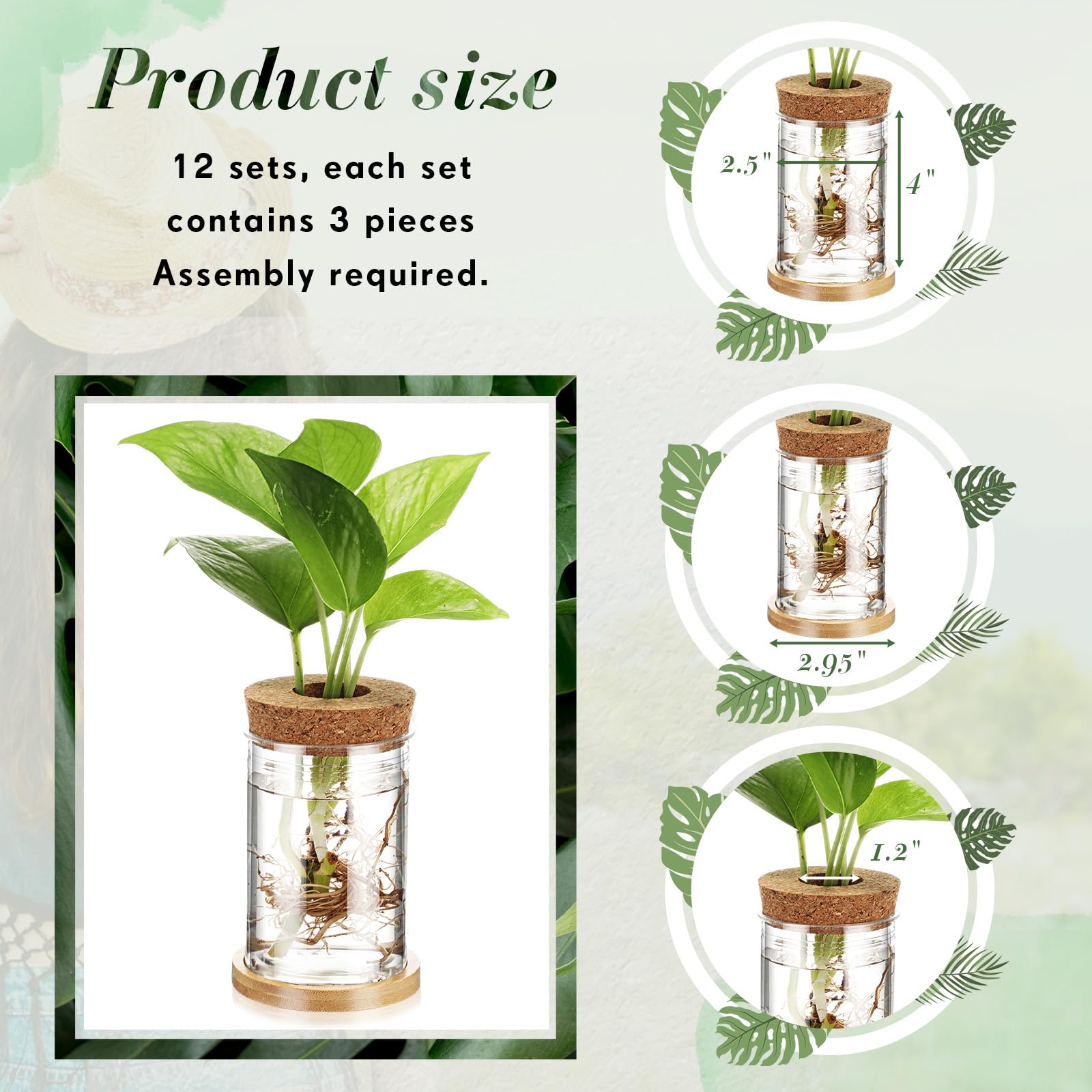 Baderke transparent vase body lets you watch roots grow.