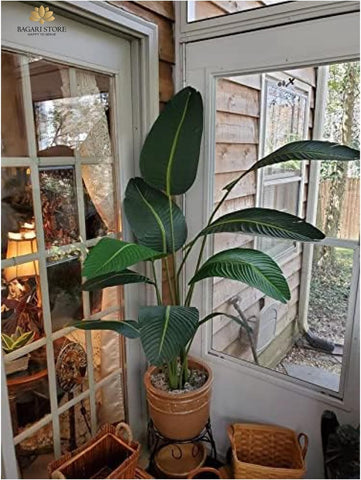 Bagari decorative bird of paradise boosts ambiance with vibrant greenery.