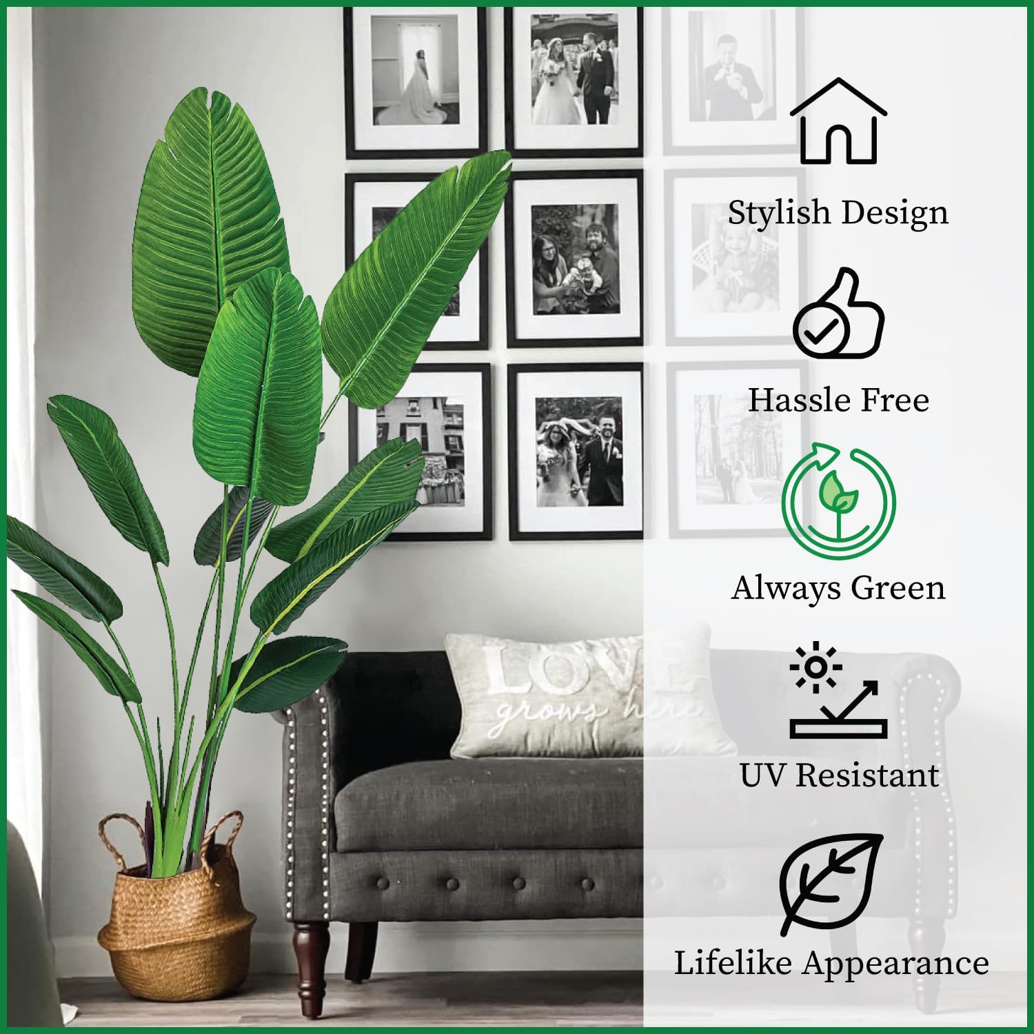 Bagari silk plant requires no watering, perfect for busy spaces.
