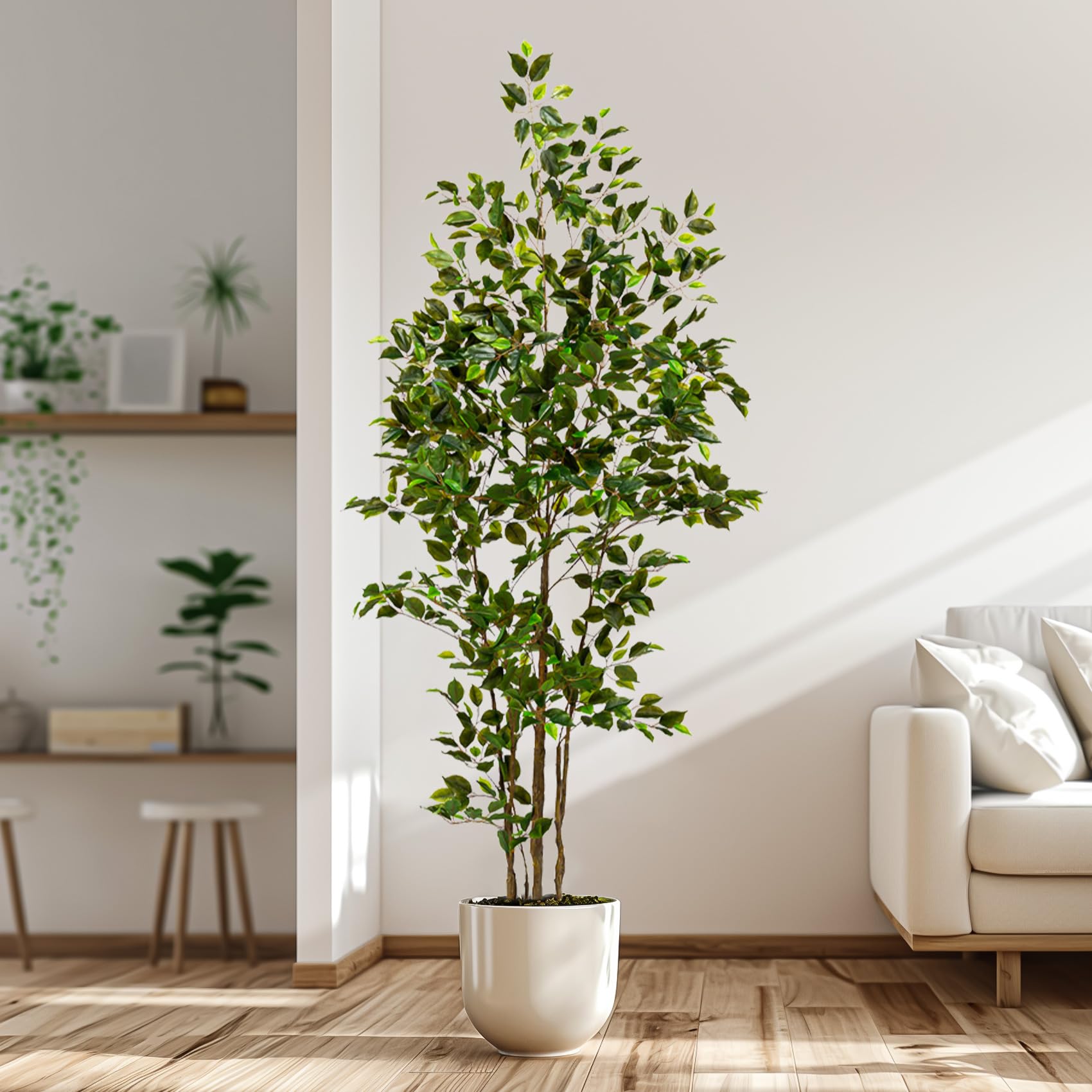 Bailikang cement planter provides sturdy support for the tree.