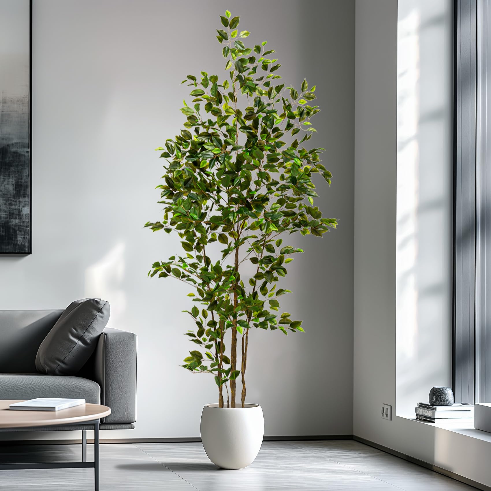 Bailikang ficus tree in living room creates instant elegance.