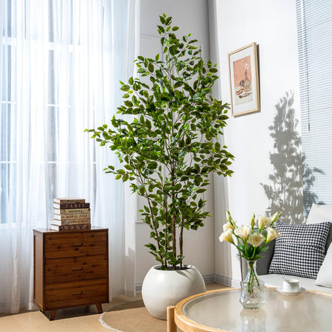 Bailikang ficus tree in office corner enhances workspace ambiance.