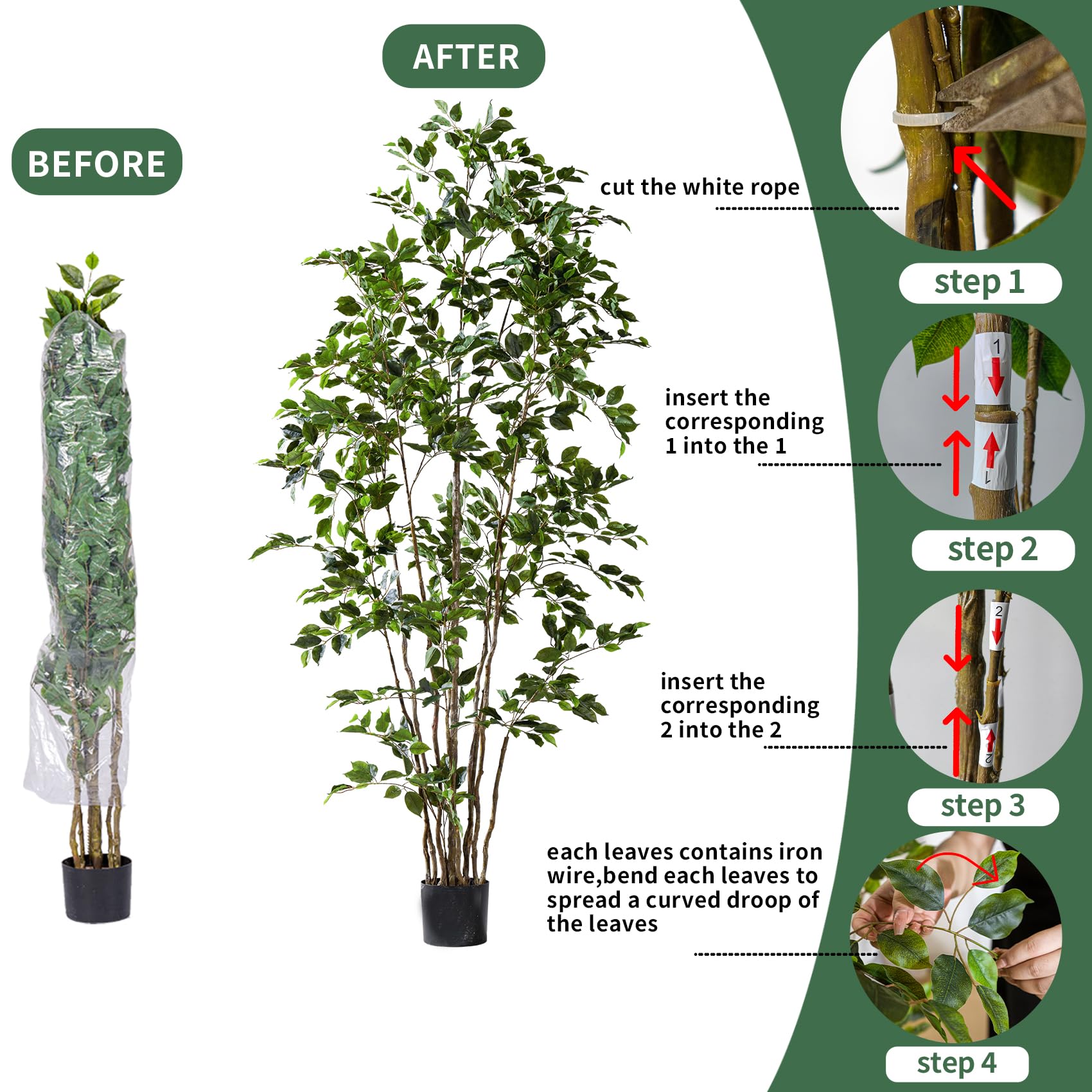 Bailikang ficus tree with ornaments demonstrates versatile seasonal styling.