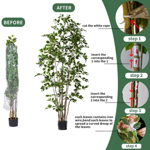 Bailikang ficus tree with ornaments demonstrates versatile seasonal styling.