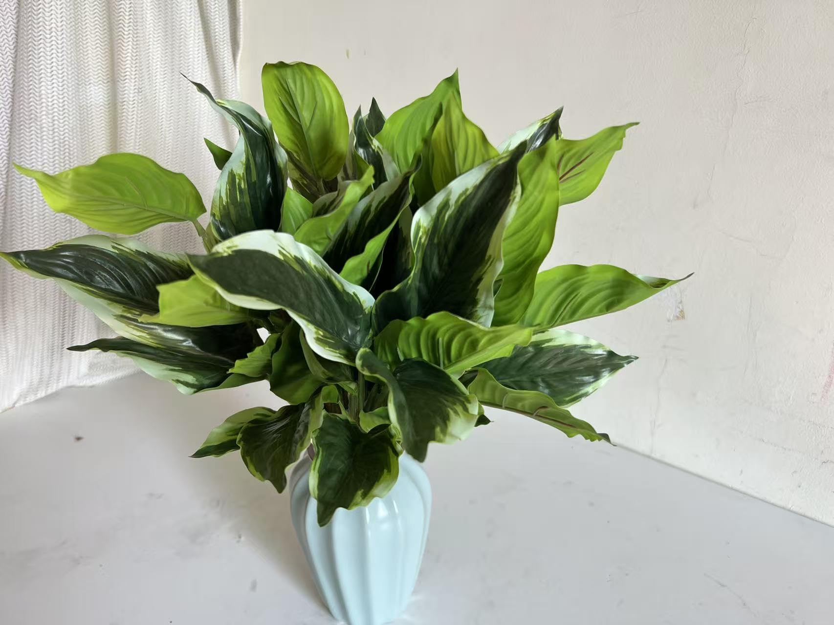Bakoukiter UV-resistant hosta foliage ready for outdoor displays.