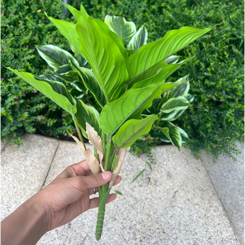 Bakoukiter Realistic hosta leaves texture enhances indoor ambiance.