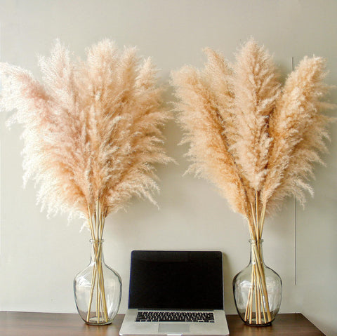 Bannifll pampas wreath-ready stems for DIY crafts.