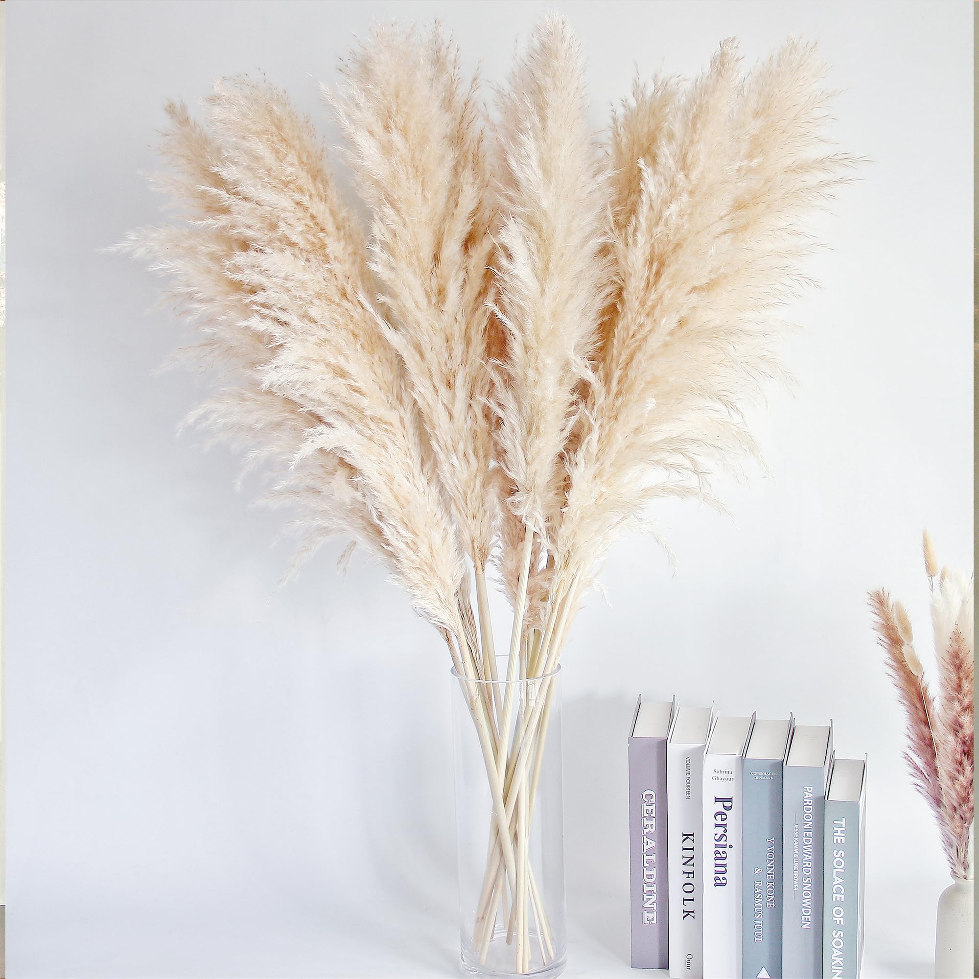 Bannifll farmhouse pampas decor for a warm, timeless look