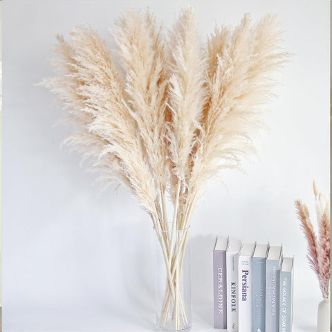 Bannifll farmhouse pampas decor for a warm, timeless look
