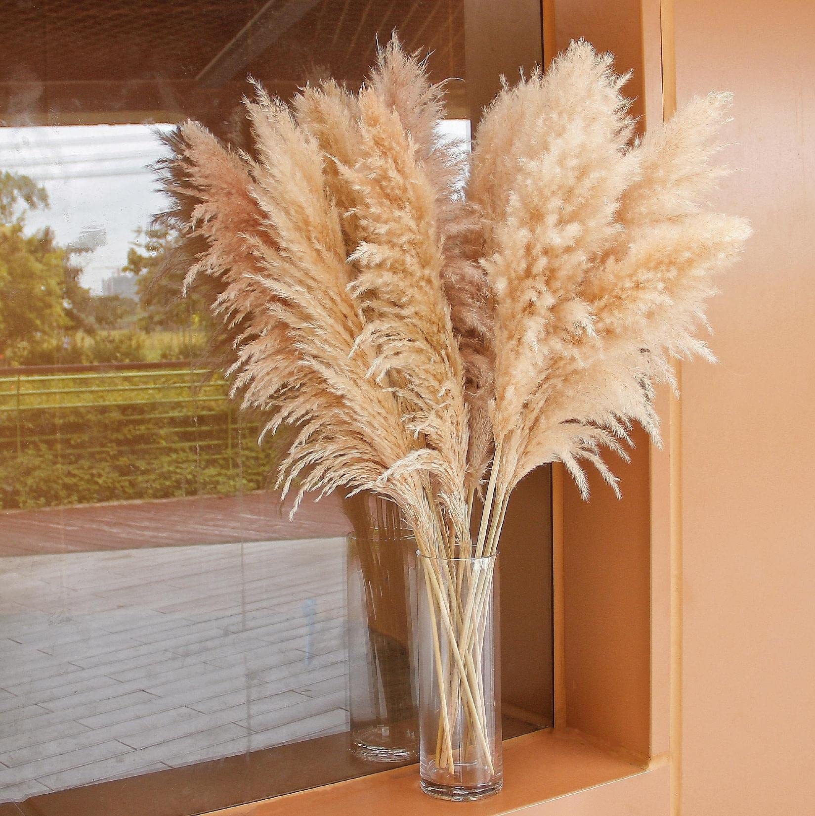 Bannifll packaging and care card for pampas grass shipment