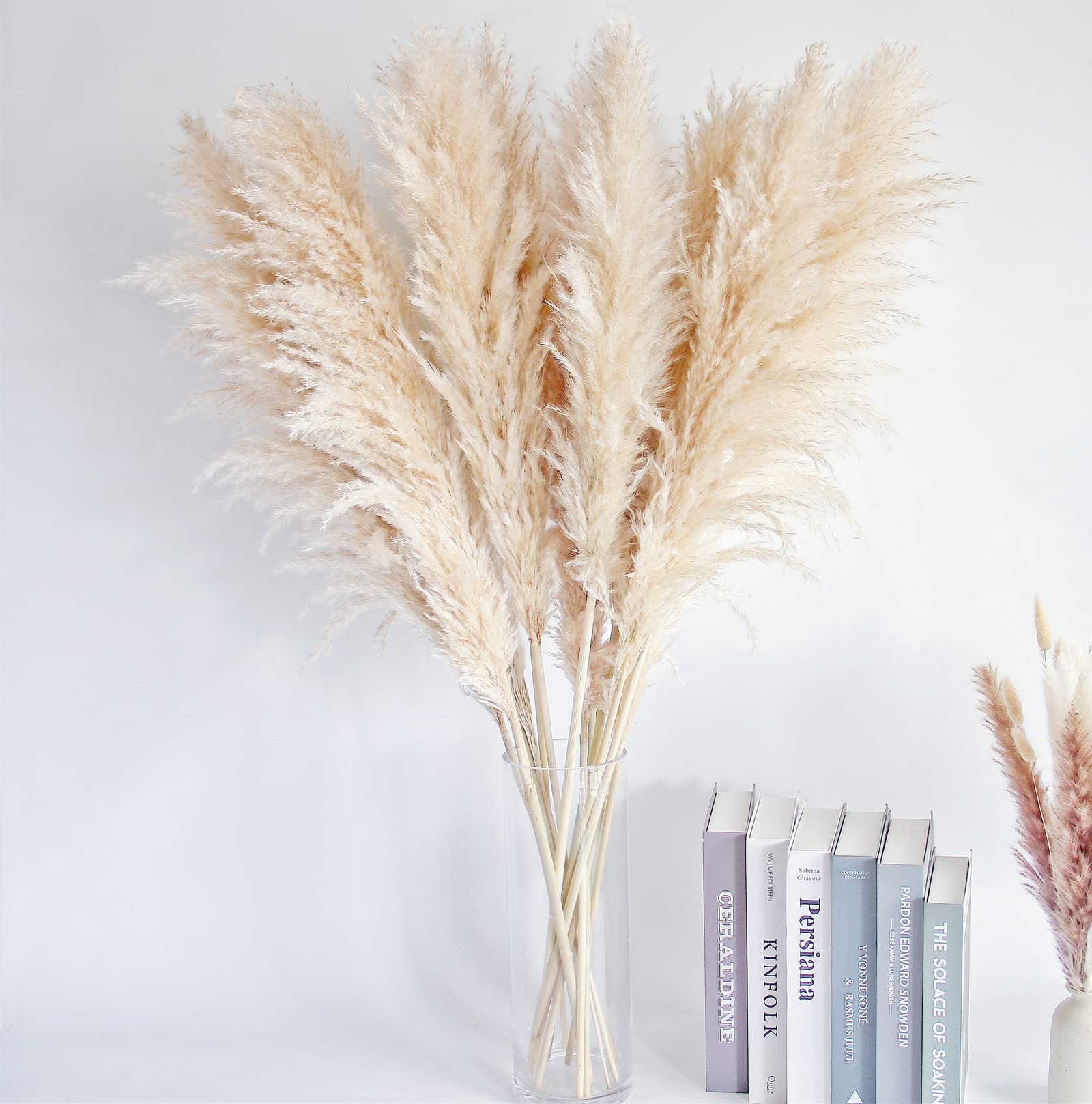 bannifll pampas grass 40 inches enhances home and event decor