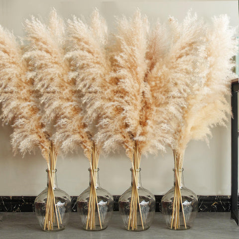 Bannifll 40-inch pampas grass stems for a dramatic boho centerpiece.