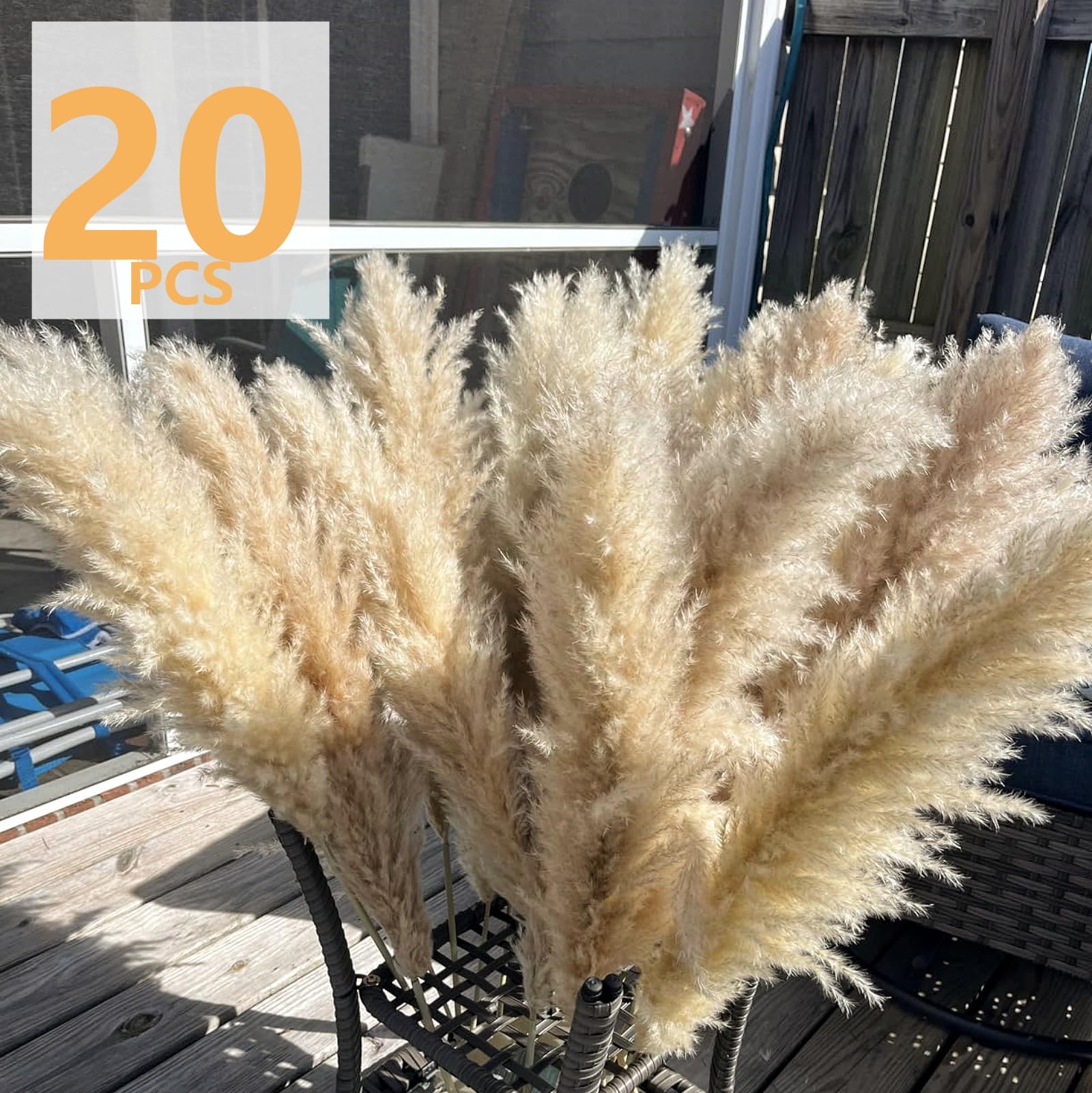 Bannifll pampas grass collection 20 stems for versatile home decor ideas.