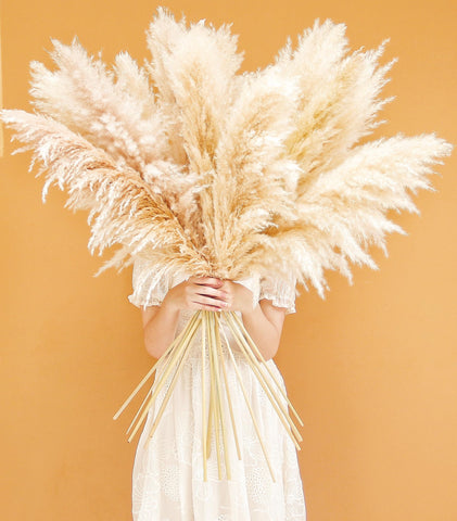 Bannifll pampas grass wedding decor adds boho elegance to events