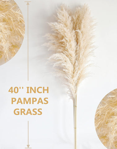 Bannifll pampas grass wreath for wall decor