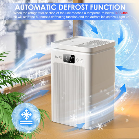 BAPOLE dehumidifier defrost function keeps operation smooth in cold spots.