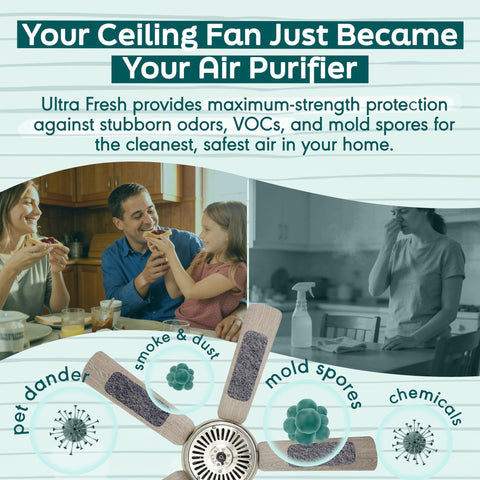 barnakl Zeolite and coconut carbon filter being installed on a ceiling fan