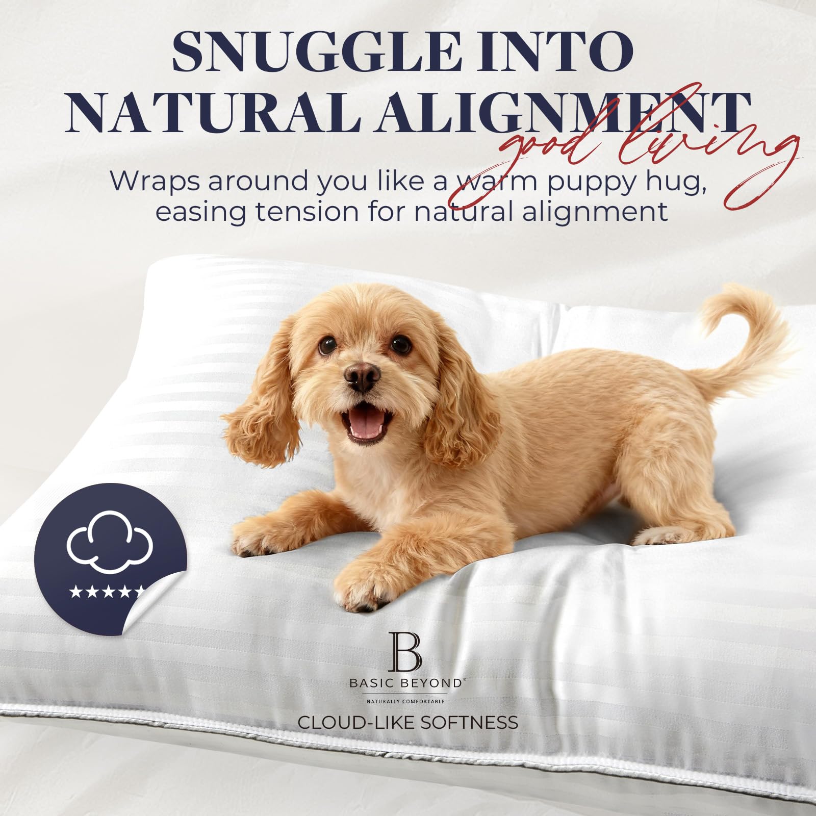 Basic Beyond pillow care instructions for cold wash and dry.