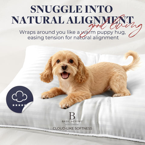 Basic Beyond Standard Pillow machine-wash label signaling easy cleaning