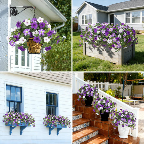 Bassion garden decor scene emphasizes year-round color with no watering.