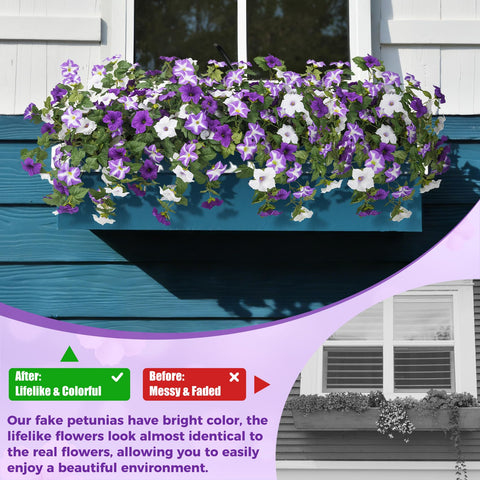 Bassion morning glory close-up highlights vibrant color for outdoor use.