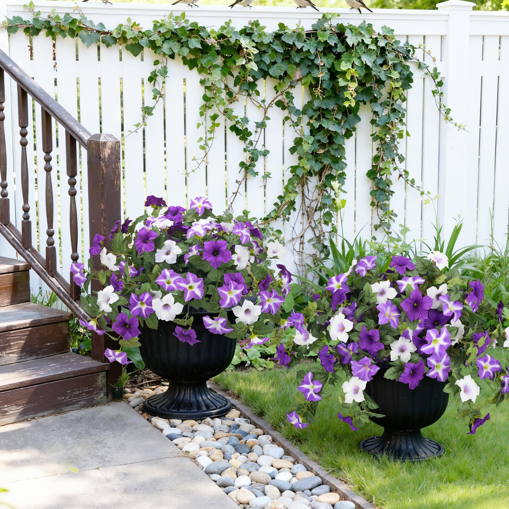 Bassion window box display demonstrates versatile use in balcony and garden spaces.