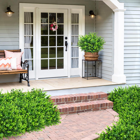 Bassion outdoor greenery accents for garden and patio setups.