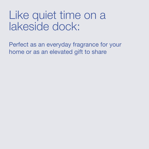 Bath & Body Works Lakeside Morning room ambience with driftwood and green apple notes.