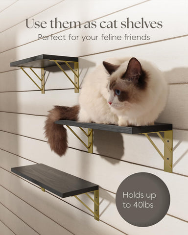 BAYKA solid Paulownia wood shelves add warmth and stability.