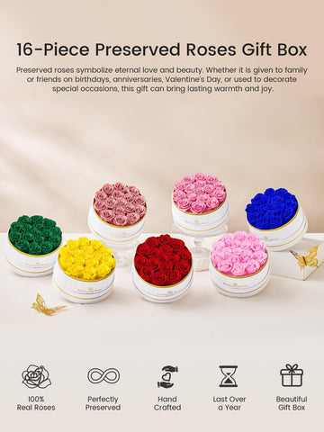 Beaulasting Roses long-lasting design stays vibrant beyond a year with zero watering