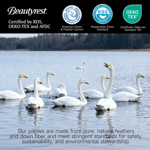 Beautyrest goose feather pillow care instructions highlight dry-cleaning and fluff restoration.