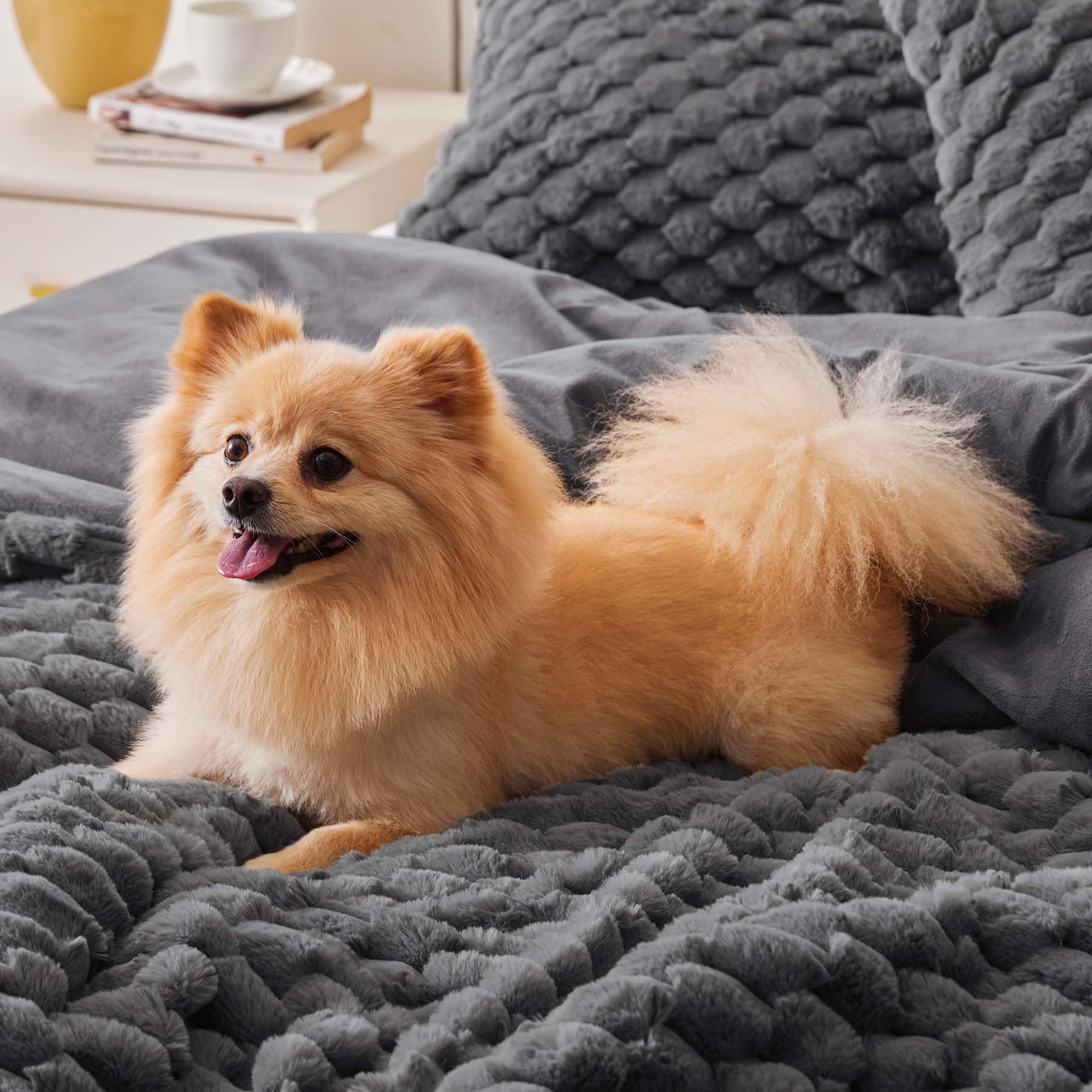 BEDELITE luxury comforter on a stylish grey bed layout.